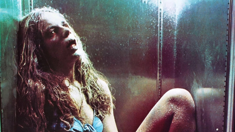 ảnh poster phim Rabid