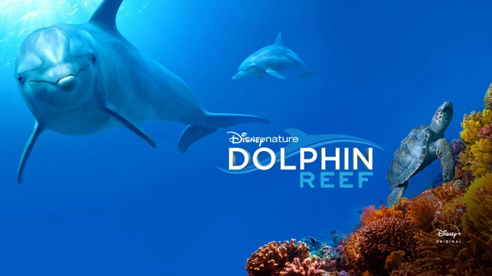 ảnh poster phim Rạn San Hô Cá Heo (Dolphin Reef)