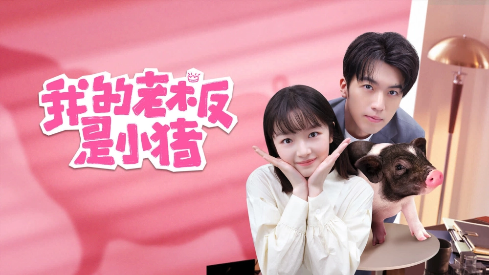 ảnh poster phim Sếp Của Tôi Là Chú Lợn Nhỏ (My Piggy Boss)