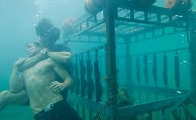 ảnh poster phim Shark Night 3D