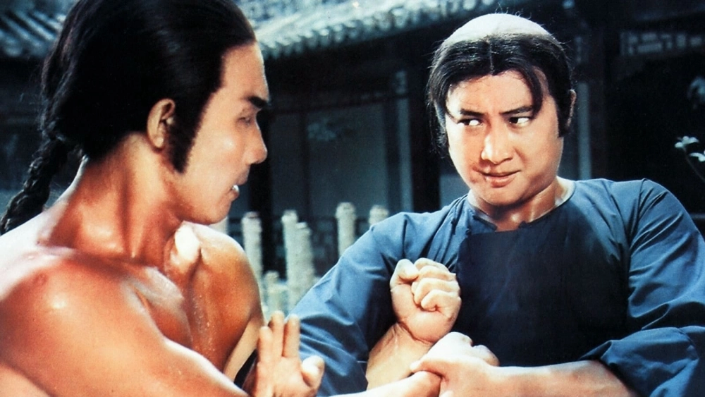 ảnh poster phim Song Chiến (Warriors Two)