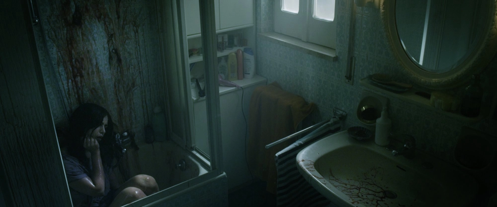 ảnh poster phim Spring