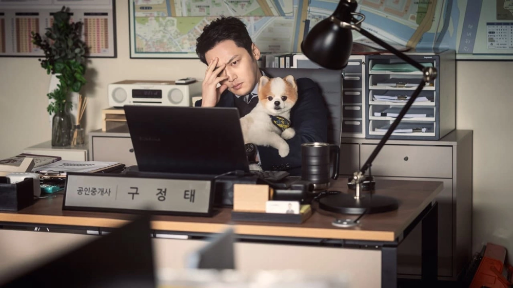 ảnh poster phim Stalker: Tội Ác Hoàn Hảo (Following)