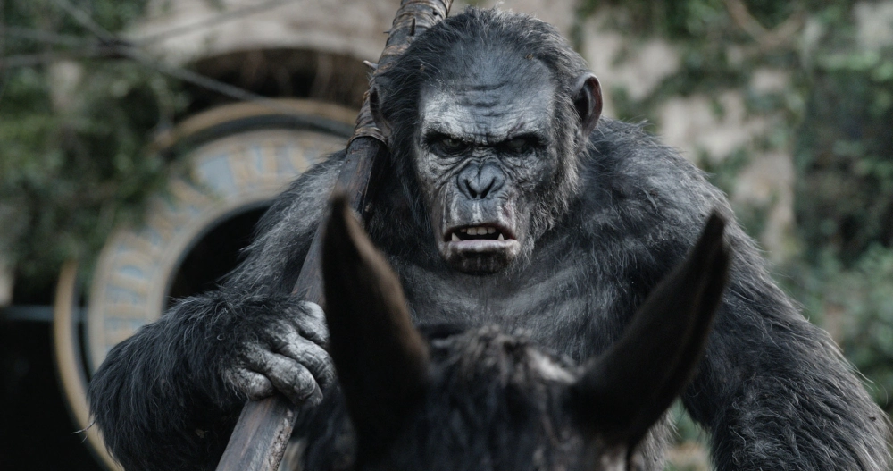 ảnh poster phim Sự Khởi Đầu Của Hành Tinh Khỉ (Dawn of the Planet of the Apes)