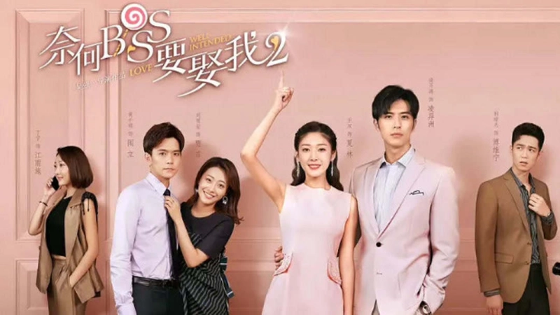 ảnh poster phim Tại Sao Boss Muốn Cưới Tôi 2 (Well Intended Love 2)