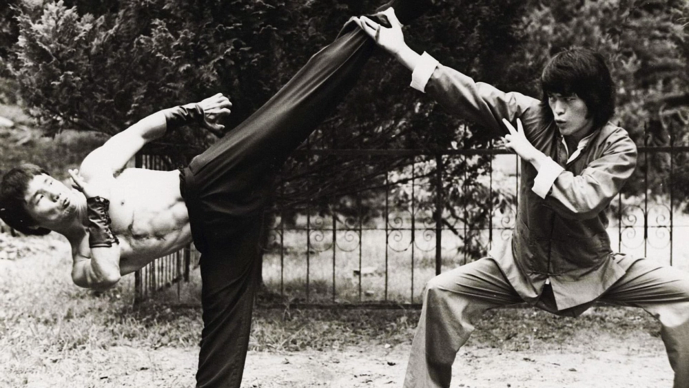 ảnh poster phim Tháp Tử Vong (Game of Death II)