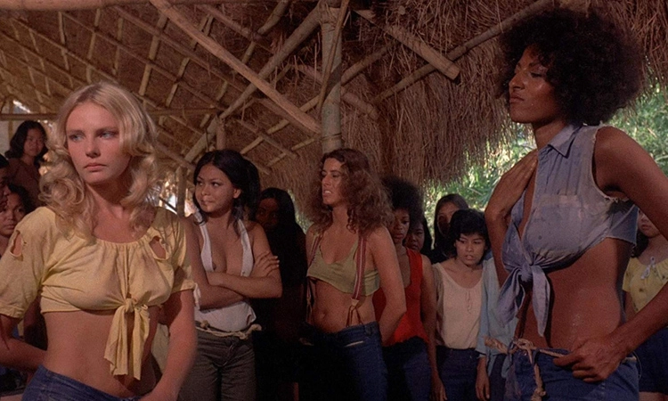 ảnh poster phim The Big Bird Cage