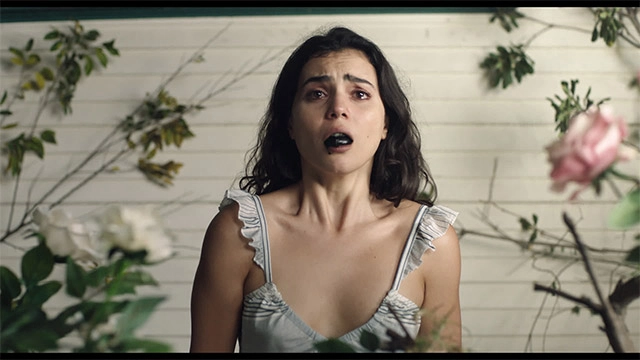 ảnh poster phim The Free Fall