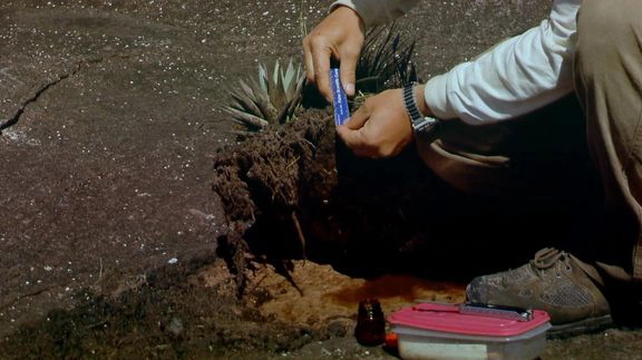 ảnh poster phim Thế Giới Đã Mất (Lost Worlds: Life in the Balance)