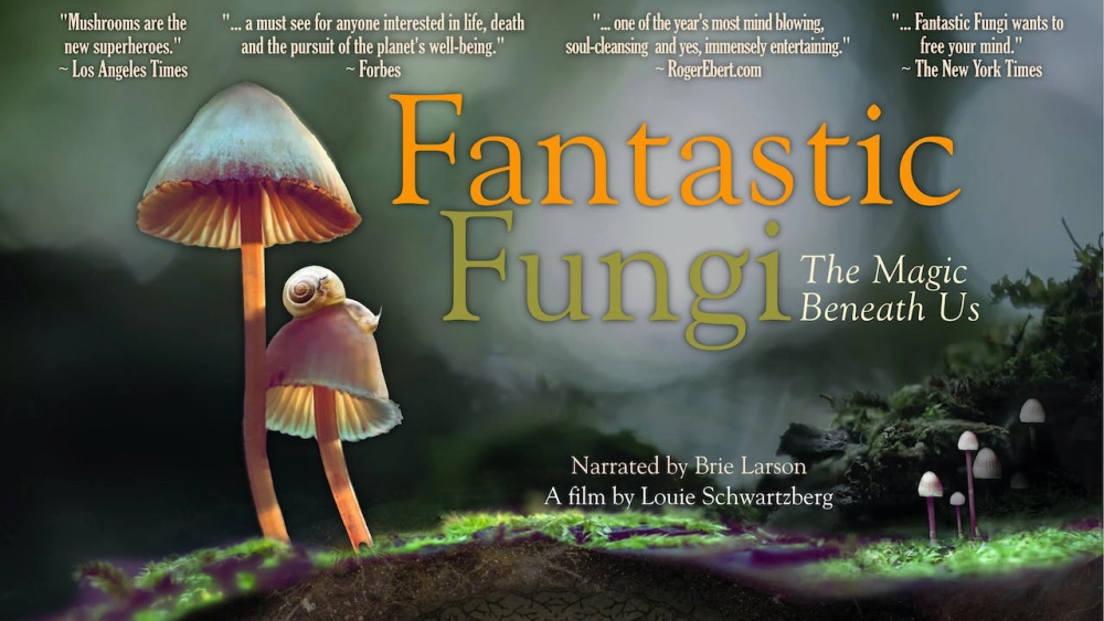 ảnh poster phim Thế giới nấm diệu kỳ (Fantastic Fungi)