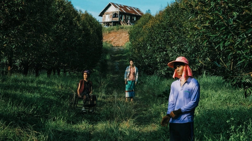 ảnh poster phim Thiên Đường Quả Báo (The Paradise of Thorns)