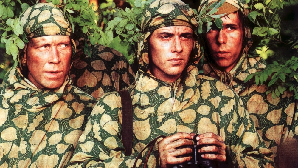 ảnh poster phim The Star