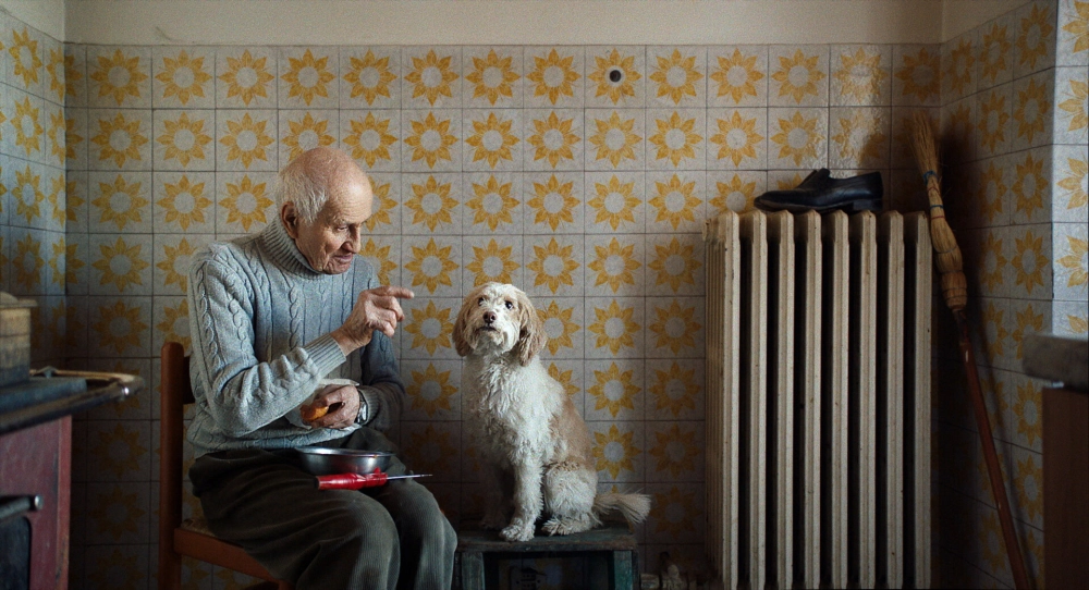 ảnh poster phim The Truffle Hunters