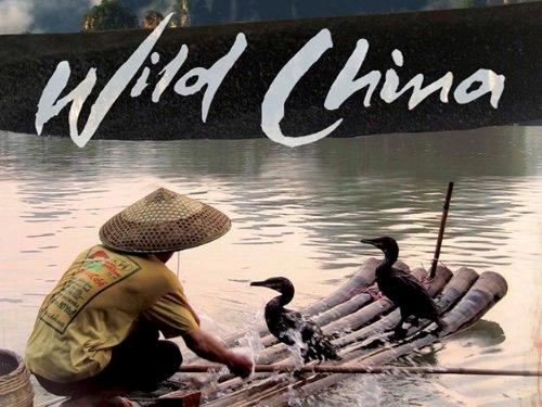 ảnh poster phim Thiên Nhiên Hoang Dã Trung Quốc (Wild China)