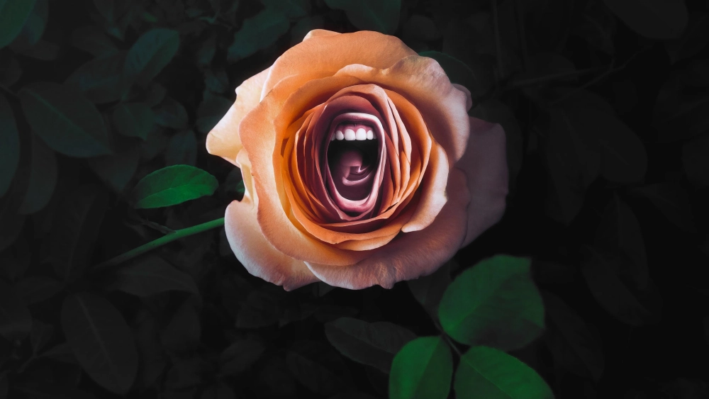 ảnh poster phim Tiếng Gầm (Roar)