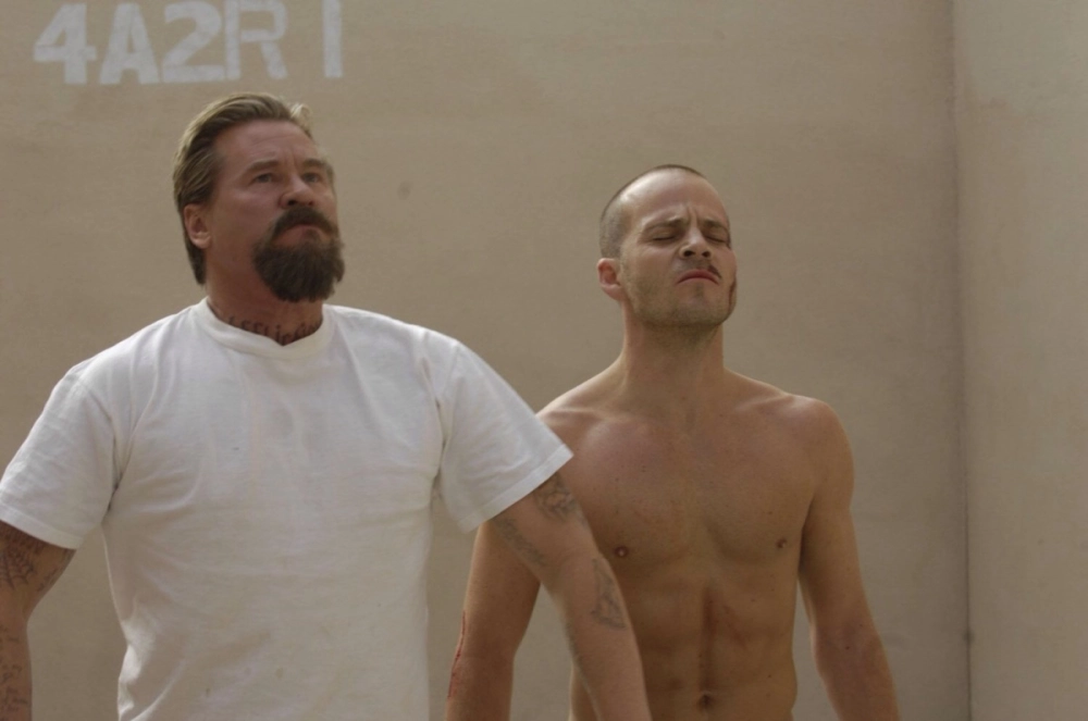 ảnh poster phim Trọng Phạm (Felon)