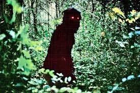 ảnh poster phim Uncle Boonmee Who Can Recall His Past Lives