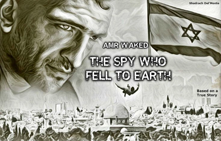 ảnh poster phim Vạch Mặt Điệp Viên (The Spy Who Fell to Earth)