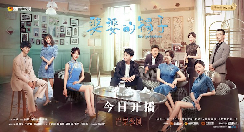 ảnh poster phim Vòng Tay Của Mẹ Chồng (The Priceless)
