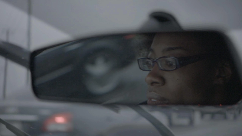 ảnh poster phim Vụ Dừng Xe (Traffic Stop)