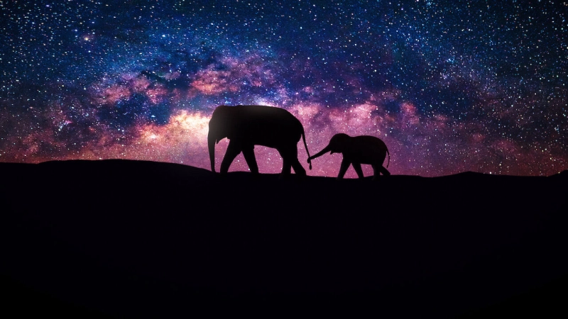 ảnh poster phim Vũ trụ (Our Universe)