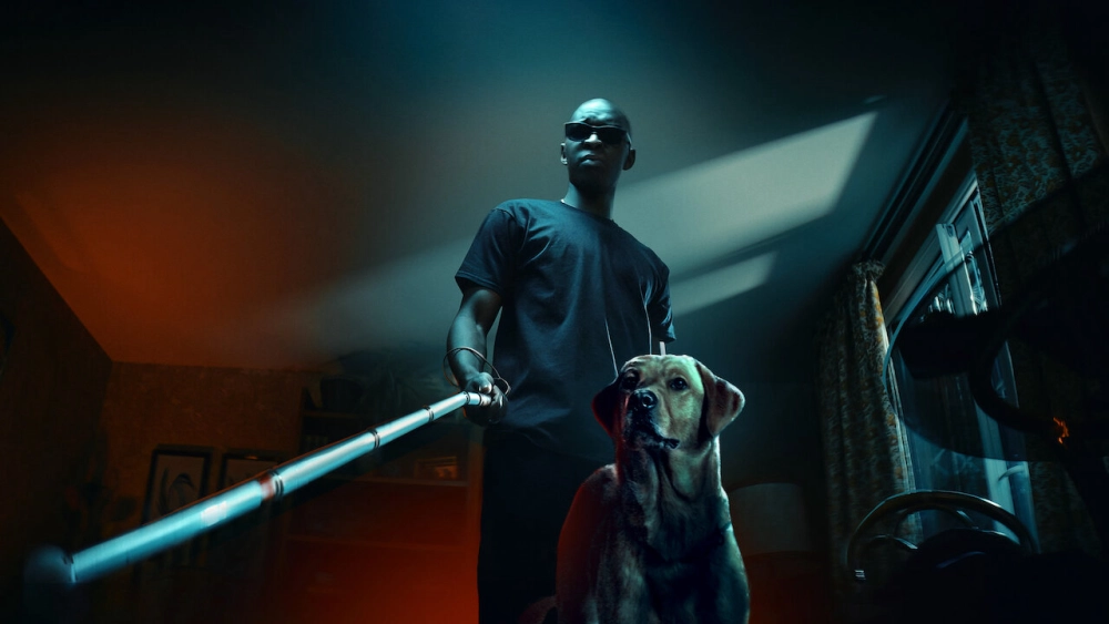 ảnh poster phim Vua bóng đêm (In His Shadow)