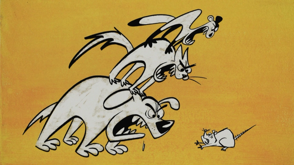 ảnh poster phim Your Friend the Rat