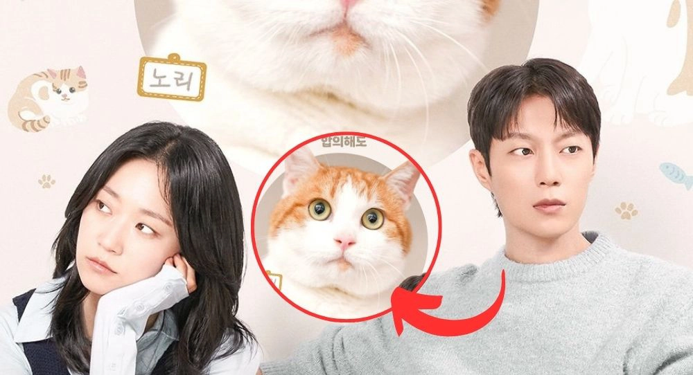 ảnh poster phim Cuộc Chiến Dành Quyền Nuôi Mèo