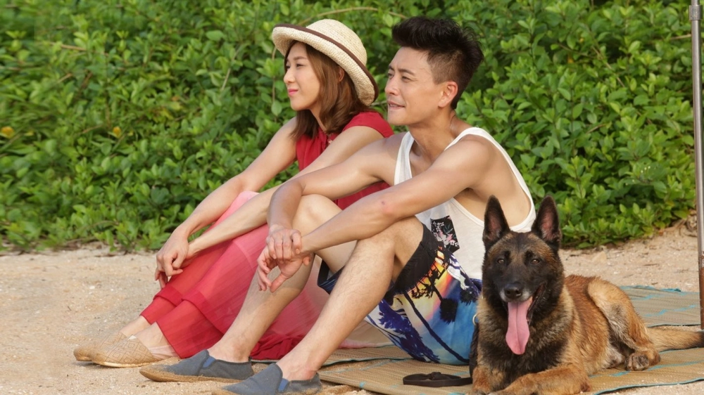 ảnh poster phim Cảnh Khuyển Ba Đả