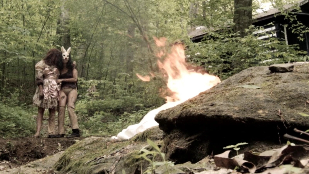 ảnh poster phim Plank Face