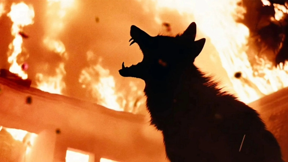 ảnh poster phim Coyotes