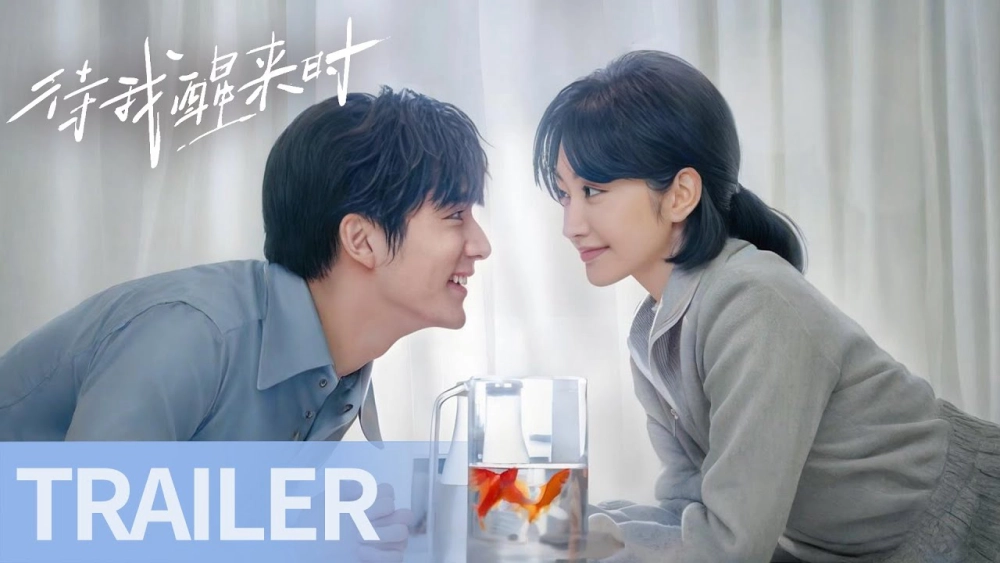 ảnh poster phim Đợi Khi Tôi Tỉnh Lại