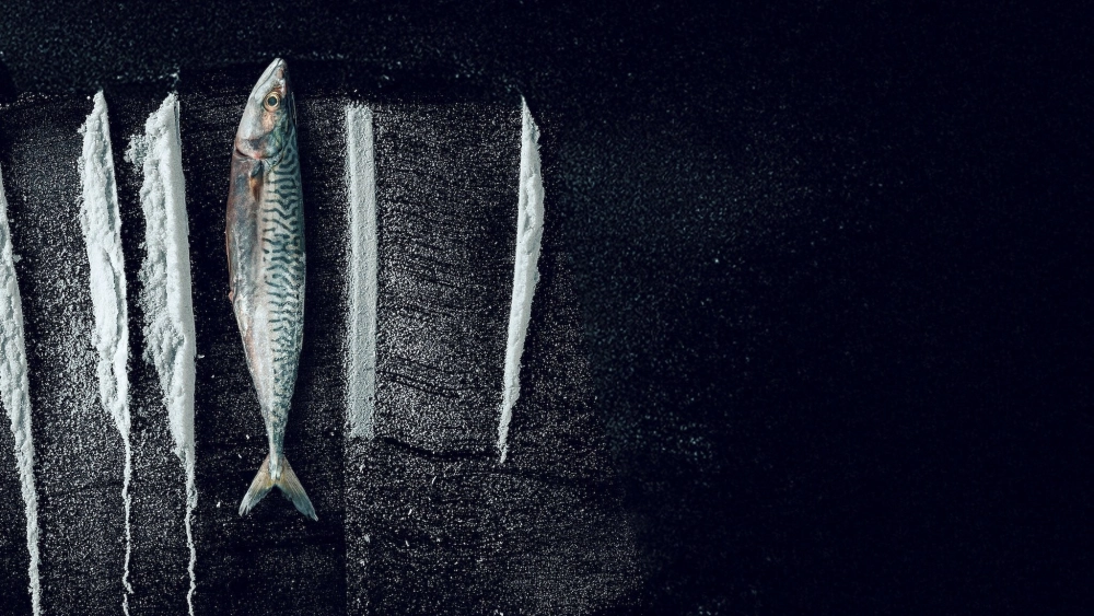 ảnh poster phim Sống Triều Đổi Vận: Câu Chuyện Siêu Thực Tế Rabo de Peixe