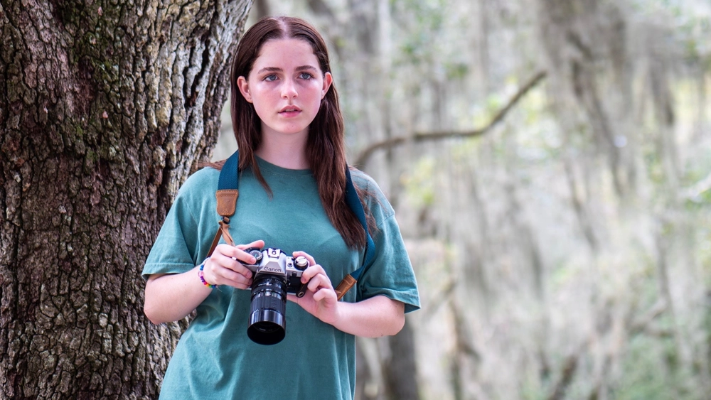 ảnh poster phim Ẩn Giấu