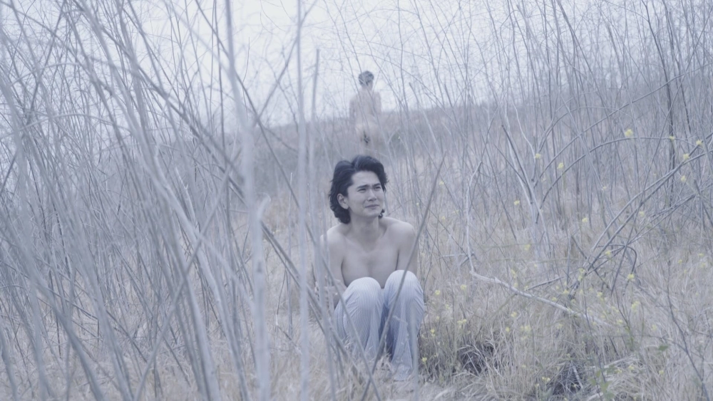 ảnh poster phim không lời