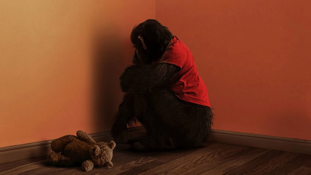 ảnh poster phim Linh Trưởng