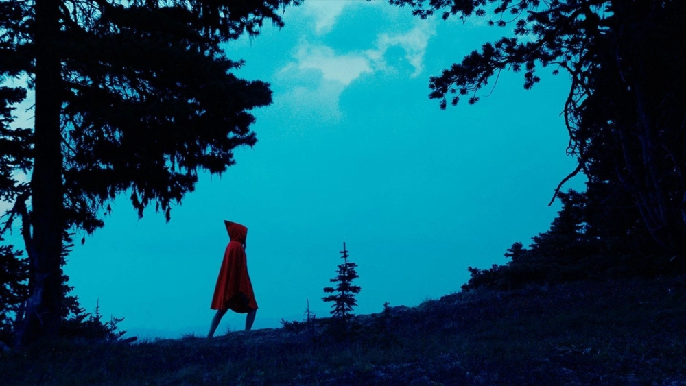 ảnh poster phim Kryptic