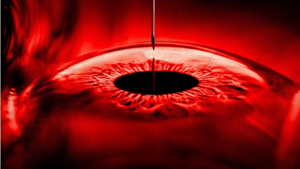 ảnh poster phim Ngôi Nhà