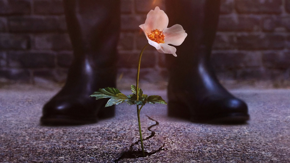 ảnh poster phim Thế Giới Của Phát Xít (Phần 2)