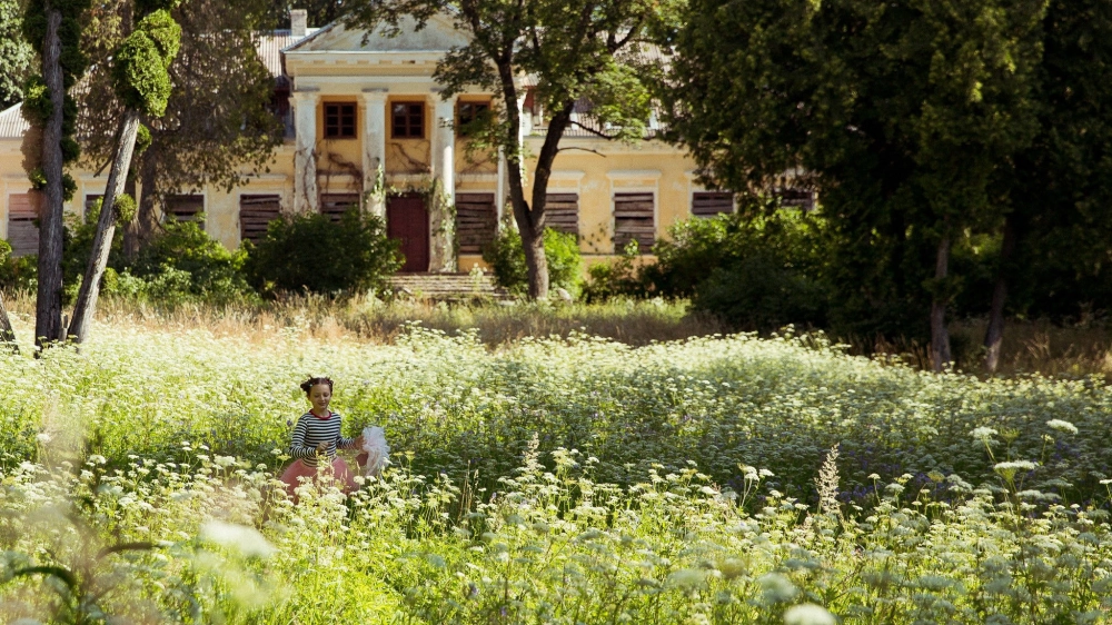 ảnh poster phim Trái Tim Bươm Bướm