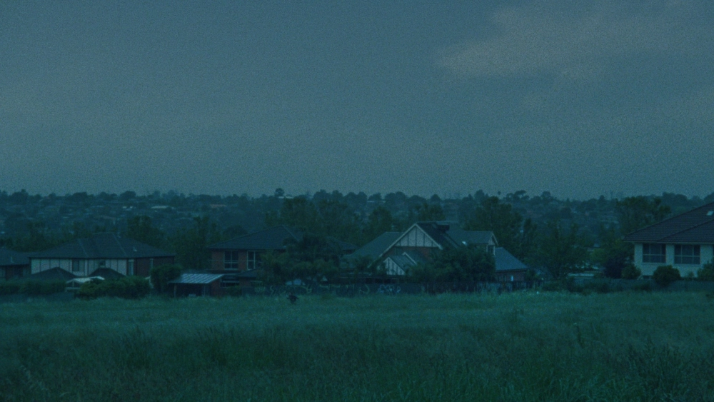 ảnh poster phim Nạn Nhân